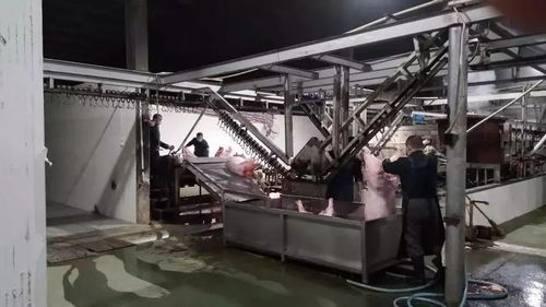 低溫雨雪天 防疫不放松